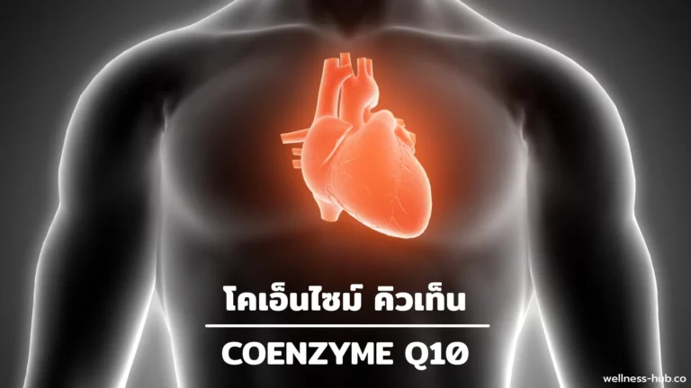 Coenzyme Q10 / โคเอ็นไซม์ คิวเท็น | คืออะไร?
