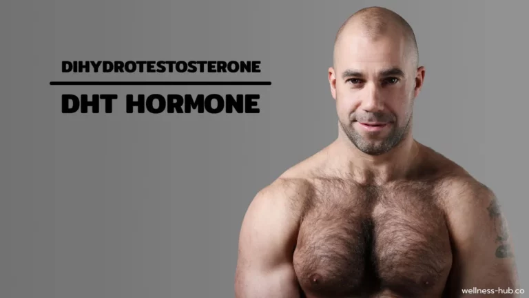 DHT Hormone / Dihydrotestosterone | คืออะไร?