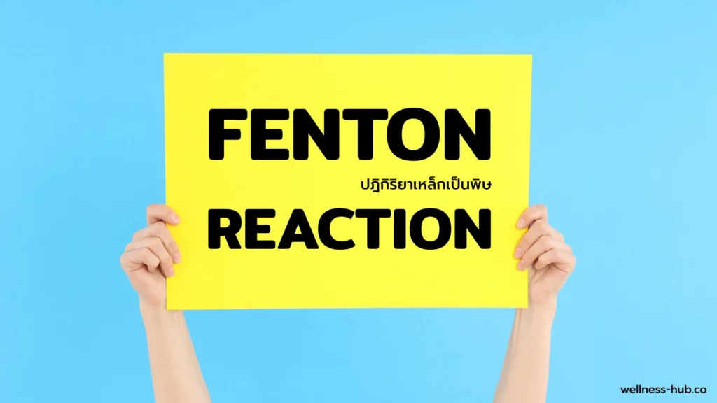 Fenton Reaction | ปฎิกิริยาเหล็กเป็นพิษ