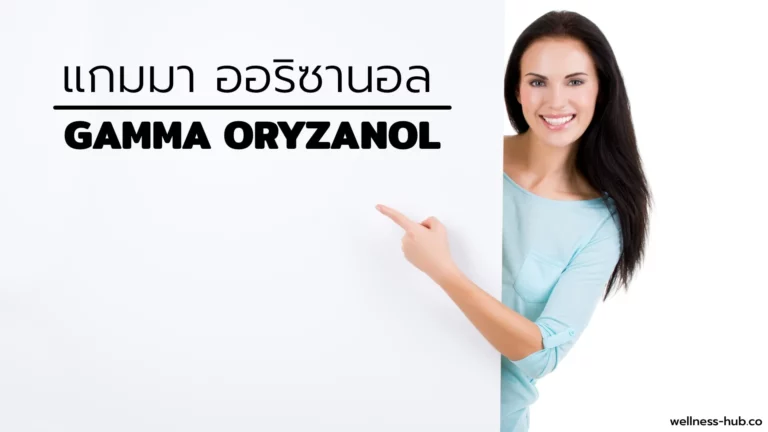 Gamma Oryzanol – แกมม่า ออริซานอล | คือ? ประโยชน์? พบที่ไหน?