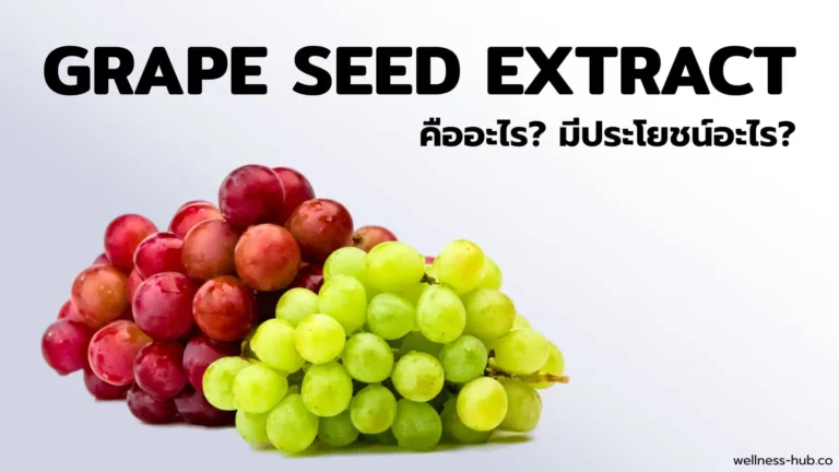 Grape Seed Extract สารสกัดจากเมล็ดองุ่น | ช่วยอะไร?