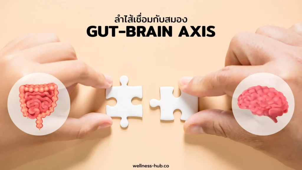 Gut-Brain Axis | ลำไส้เชื่อมกับสมอง