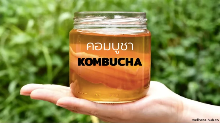 Kombucha | คืออะไร? มีประโยชน์อะไร?