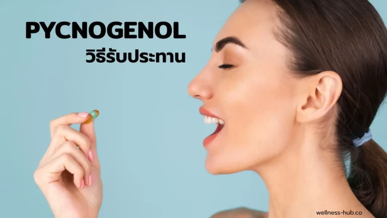 Pycnogenol กินตอนไหน กินวันละเท่าไหร่