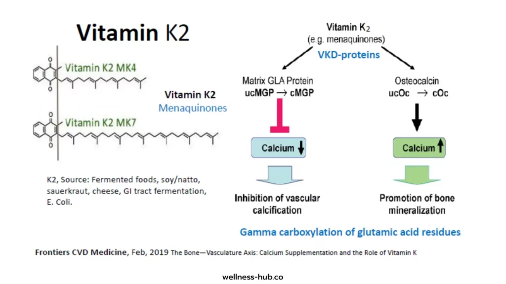 Vitamin K2 vs Vitamin K1