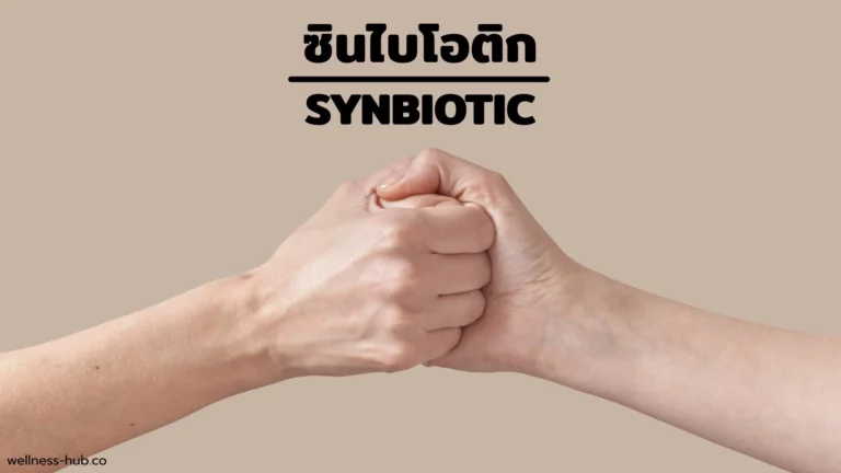 ซินไบโอติก – Synbiotic | คืออะไร? ช่วยอะไร?
