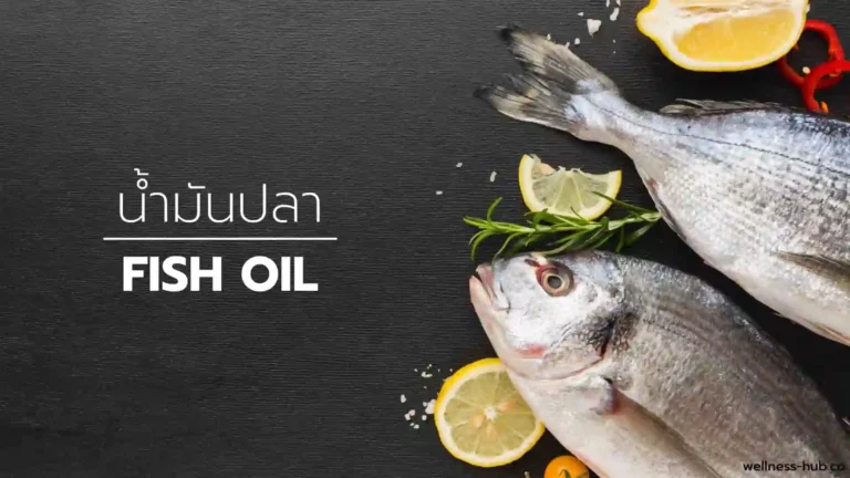 น้ำมันปลา – Fish Oil | ช่วยอะไร? มีผลข้างเคียงอะไร?