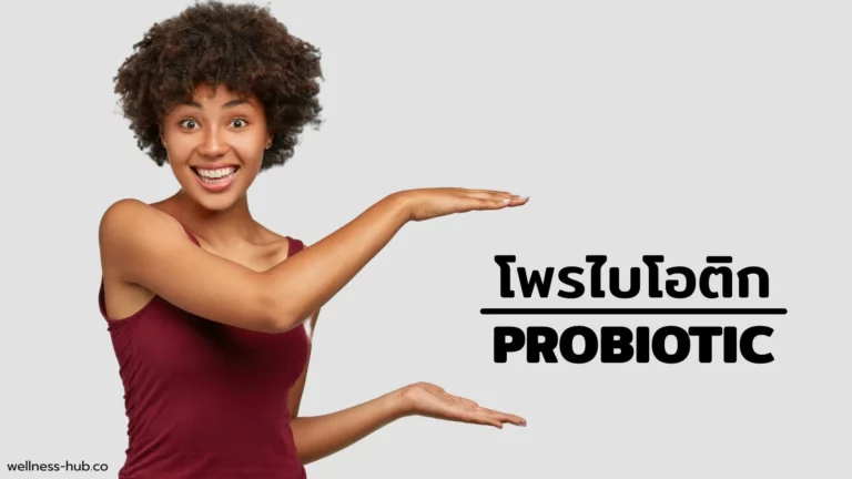 Probiotic – โพรไบโอติก – โปรไบโอติก | คืออะไร? ช่วยอะไร?