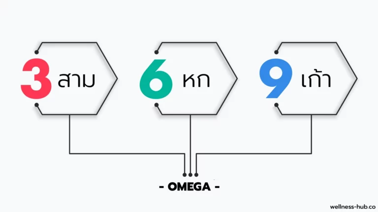 โอเมก้า 3 6 9 | Omega-3 vs Omega-6 vs Omega-9
