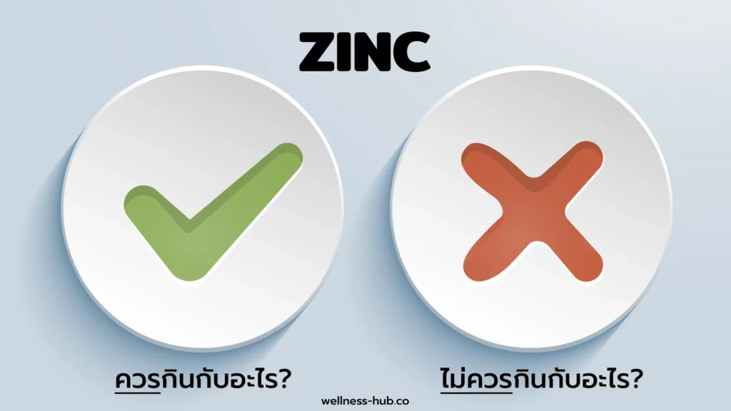 Zinc - ซิ้งค์ - สังกะสี | ห้ามกินกับอะไร ควรกินกับอะไร