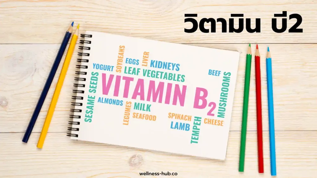 วิตามิน บี2  - Vitamin B2 | ประโยชน์ อาการเมื่อขาด อาการเมื่อเกิน