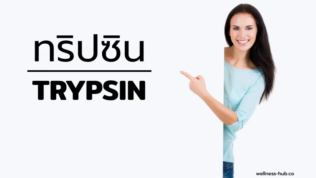 เอนไซม์ ทริปซิน - Trypsin Enzyme | คือ? ย่อยอะไร? พบได้ที่ไหน?