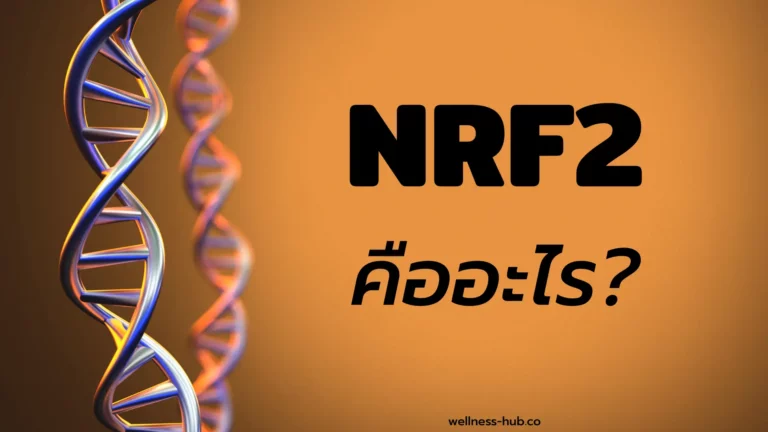 NRF2 คืออะไร? มีประโยชน์อะไร?