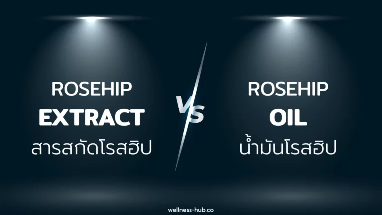 น้ำมันโรสฮิป – Rosehip Oil VS Rosehip Extract – สารสกัดโรสฮิป