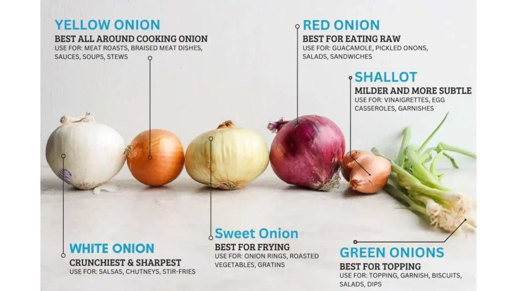 หอมแดงใหญ่ - หอมหัวแดงใหญ่ - Red Onion | สรรพคุณและข้อควรระวัง