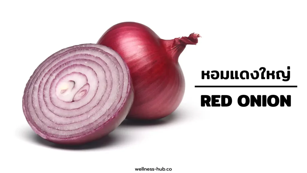 หอมแดงใหญ่ - หอมหัวแดงใหญ่ - Red Onion | สรรพคุณและข้อควรระวัง